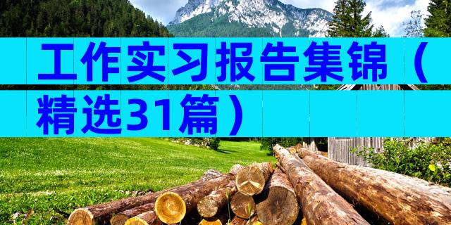 工作实习报告集锦（精选31篇）