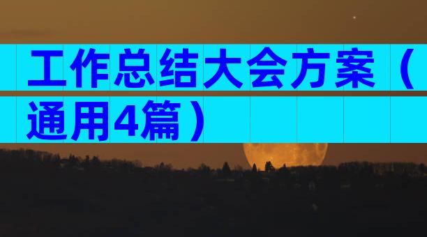 工作总结大会方案（通用4篇）