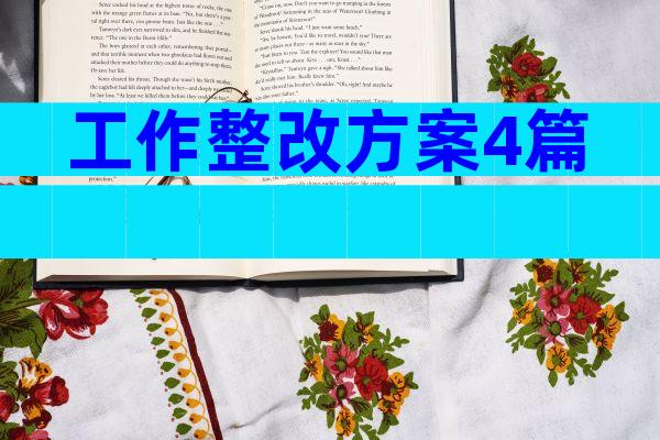 工作整改方案4篇