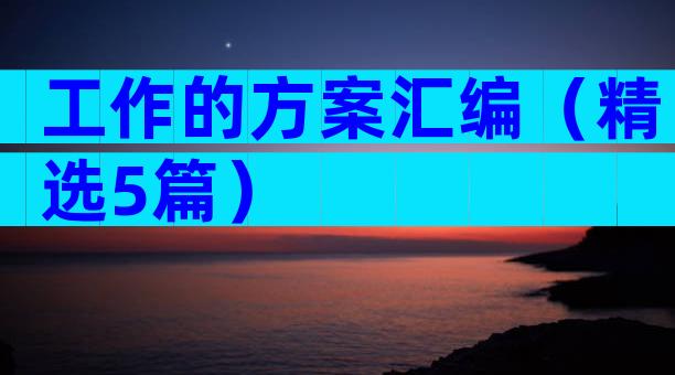 工作的方案汇编（精选5篇）