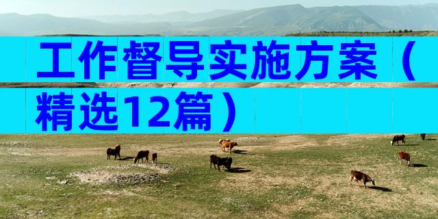 工作督导实施方案（精选12篇）
