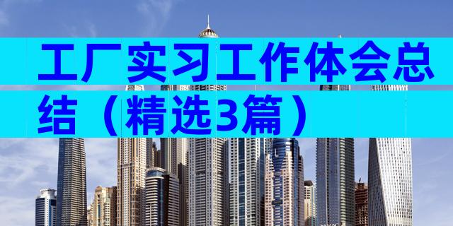 工厂实习工作体会总结（精选3篇）