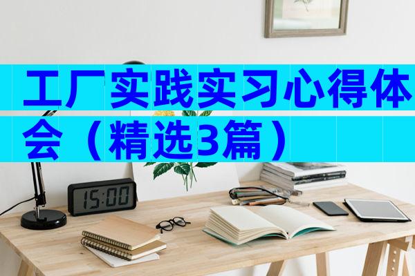 工厂实践实习心得体会（精选3篇）