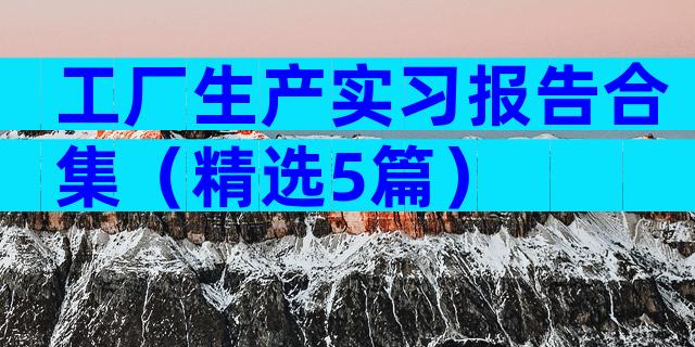 工厂生产实习报告合集（精选5篇）