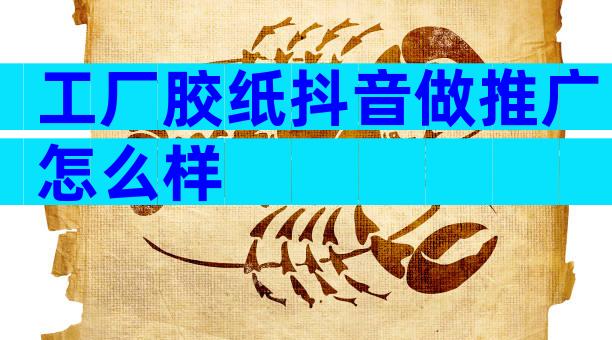 工厂胶纸抖音做推广怎么样