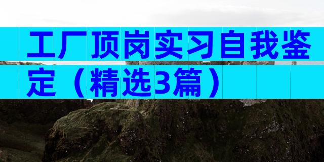 工厂顶岗实习自我鉴定（精选3篇）