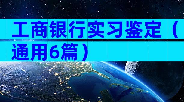 工商银行实习鉴定（通用6篇）