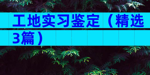 工地实习鉴定（精选3篇）