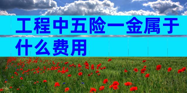 工程中五险一金属于什么费用