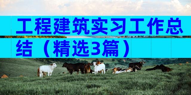 工程建筑实习工作总结（精选3篇）