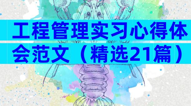 工程管理实习心得体会范文（精选21篇）