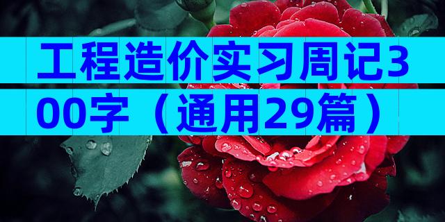 工程造价实习周记300字（通用29篇）