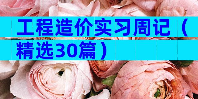 工程造价实习周记（精选30篇）