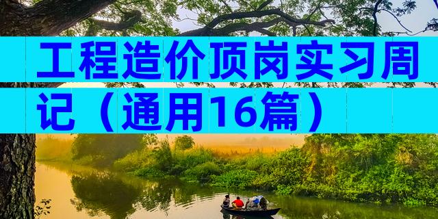 工程造价顶岗实习周记（通用16篇）