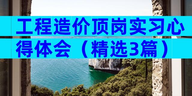工程造价顶岗实习心得体会（精选3篇）