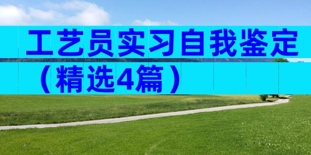 工艺员实习自我鉴定（精选4篇）
