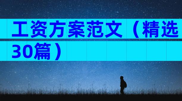 工资方案范文（精选30篇）