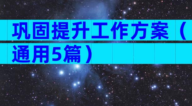 巩固提升工作方案（通用5篇）