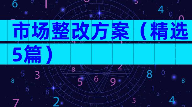 市场整改方案（精选5篇）