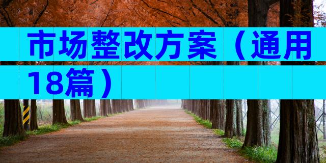 市场整改方案（通用18篇）