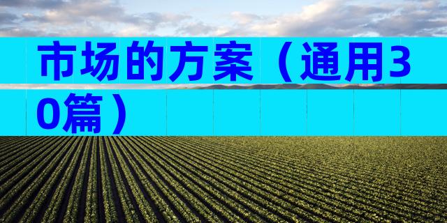 市场的方案（通用30篇）