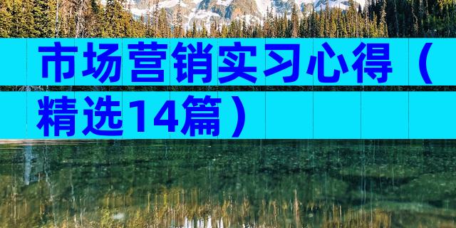市场营销实习心得（精选14篇）