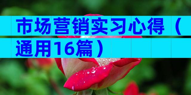 市场营销实习心得（通用16篇）