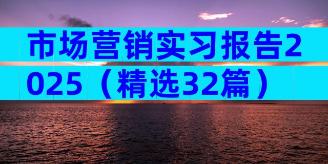 市场营销实习报告2025（精选32篇）