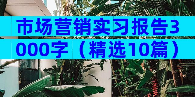 市场营销实习报告3000字（精选10篇）