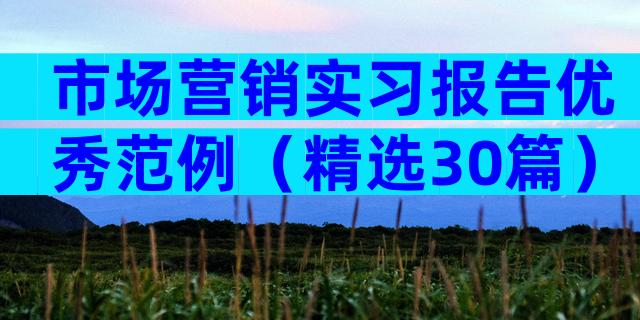 市场营销实习报告优秀范例（精选30篇）