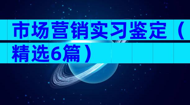 市场营销实习鉴定（精选6篇）