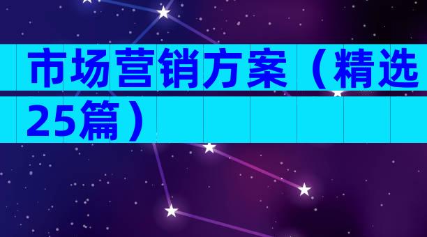 市场营销方案（精选25篇）