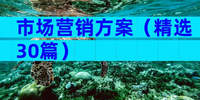 市场营销方案（精选30篇）