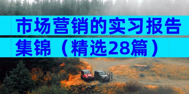 市场营销的实习报告集锦（精选28篇）