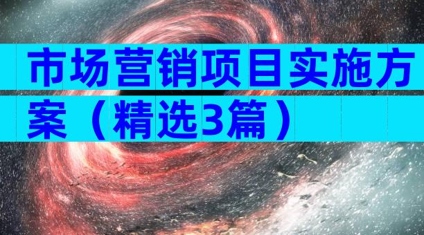 市场营销项目实施方案（精选3篇）