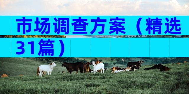市场调查方案（精选31篇）
