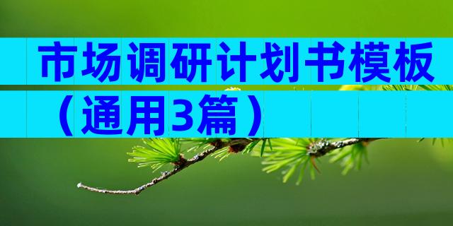 市场调研计划书模板（通用3篇）