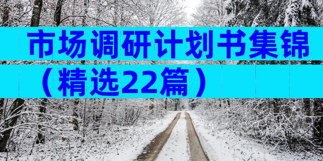 市场调研计划书集锦（精选22篇）