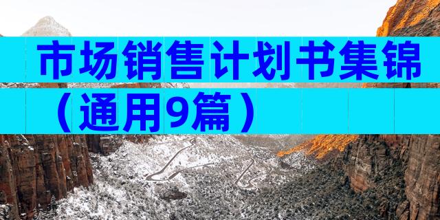 市场销售计划书集锦（通用9篇）