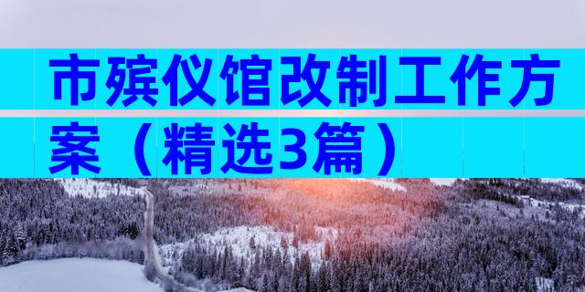 市殡仪馆改制工作方案（精选3篇）