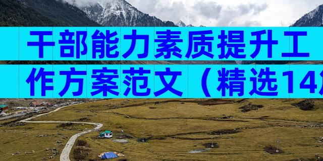 干部能力素质提升工作方案范文（精选14篇）