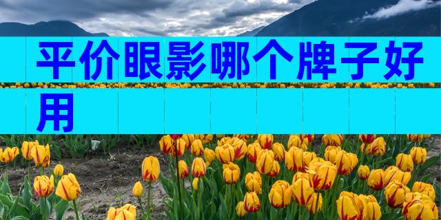 平价眼影哪个牌子好用