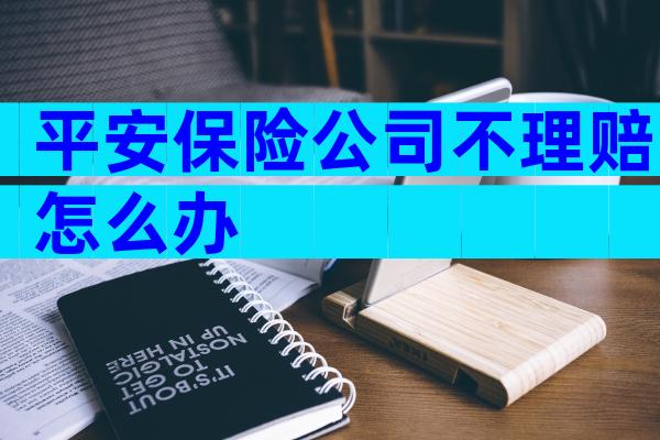平安保险公司不理赔怎么办