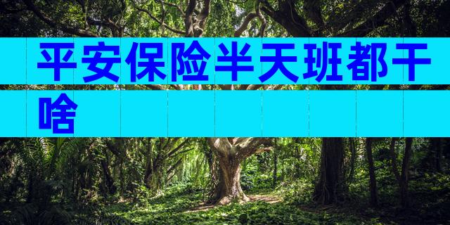 平安保险半天班都干啥