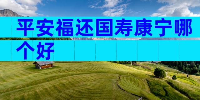 平安福还国寿康宁哪个好