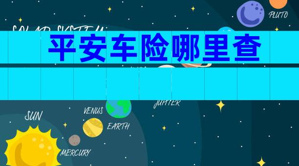 平安车险哪里查