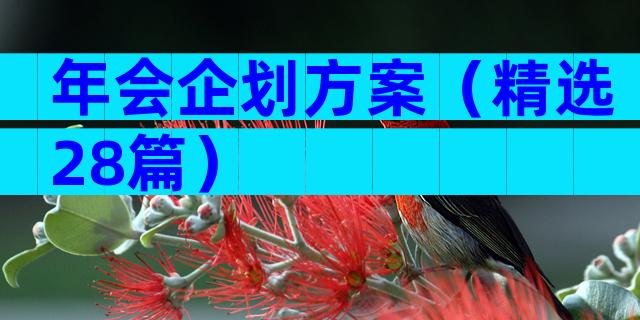 年会企划方案（精选28篇）