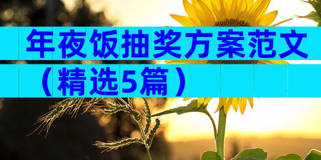年夜饭抽奖方案范文（精选5篇）