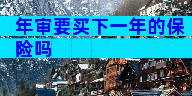 年审要买下一年的保险吗