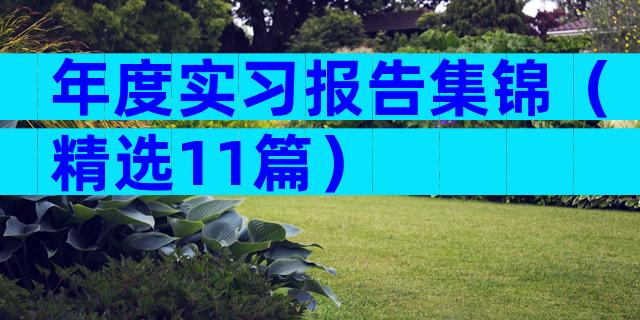年度实习报告集锦（精选11篇）
